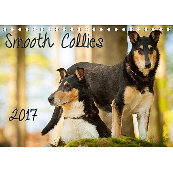 Smooth Collies (Tischkalender 2017 DIN A5 quer), Laura Längsfeld