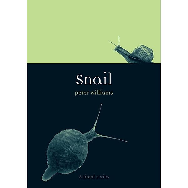 Snail / Animal, Williams Peter Williams