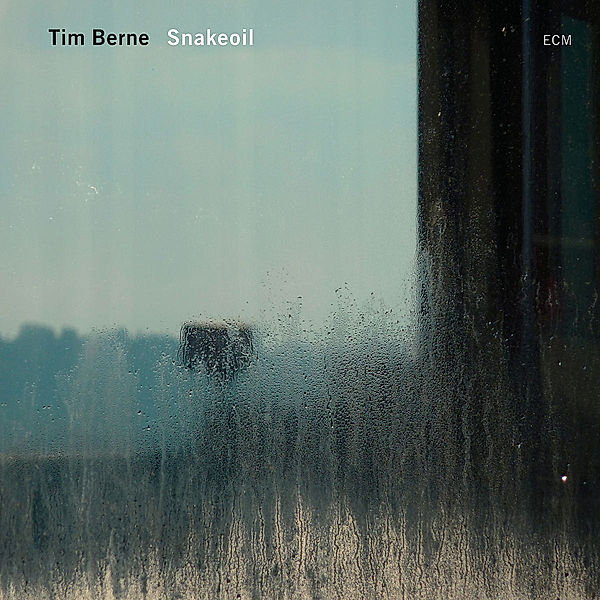 Snakeoil, Tim Berne