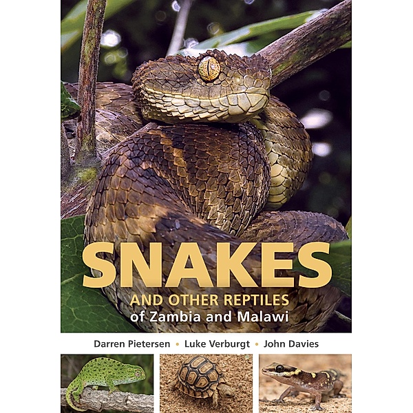 Snakes and other Reptiles of Zambia and Malawi, Darren Pietersen, Luke Verburgt, John Davies