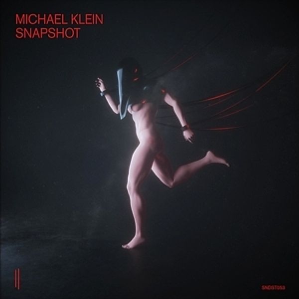 Snapshot (Gatefold 2lp) (Vinyl), Michael Klein