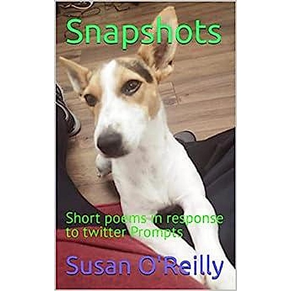 Snapshots, Susan O'Reilly