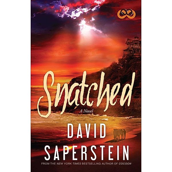 Snatched, David Saperstein
