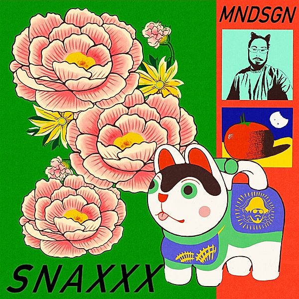 Snaxxx, Mndsgn