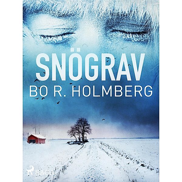 Snögrav, Bo R. Holmberg