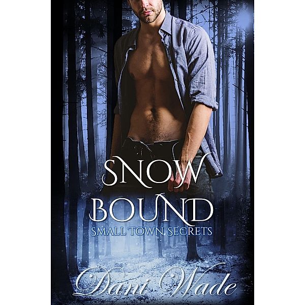 Snow Bound (Small Town Secrets, #3) / Small Town Secrets, Dani Wade