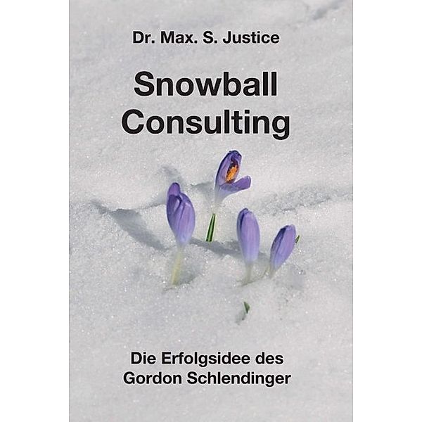Snowball Consulting, Max. S. Justice