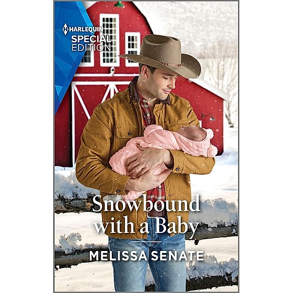 Snowbound with a Baby / Dawson Family Ranch Bd.12, Melissa Senate