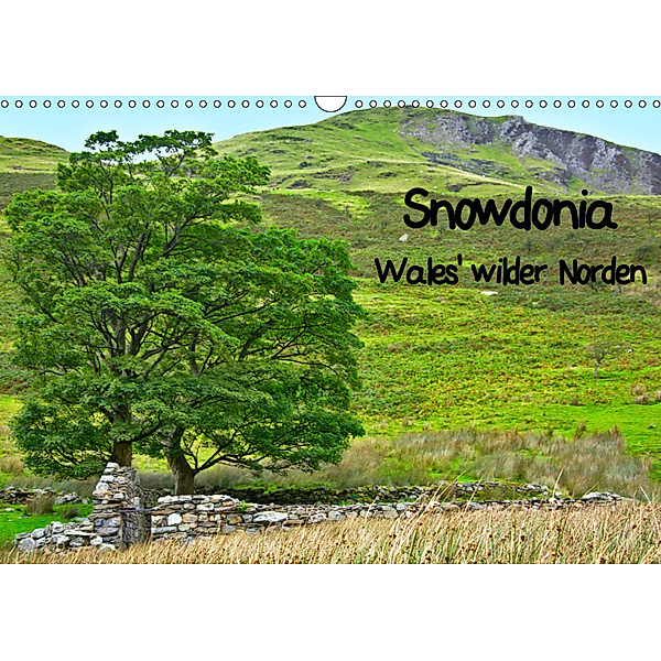 Snowdonia - Wales' wilder Norden (Wandkalender 2019 DIN A3 quer), Lost Plastron Pictures