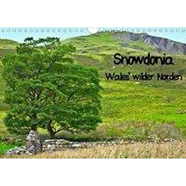 Snowdonia - Wales' wilder Norden (Wandkalender 2020 DIN A4 quer), Lost Plastron Pictures
