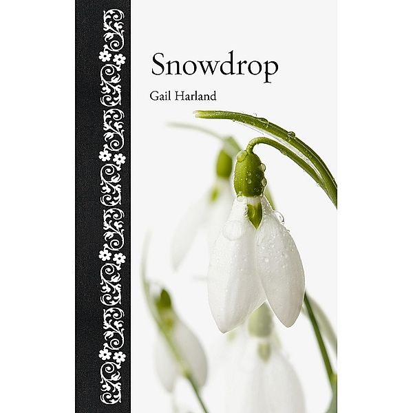 Snowdrop / Botanical, Harland Gail Harland
