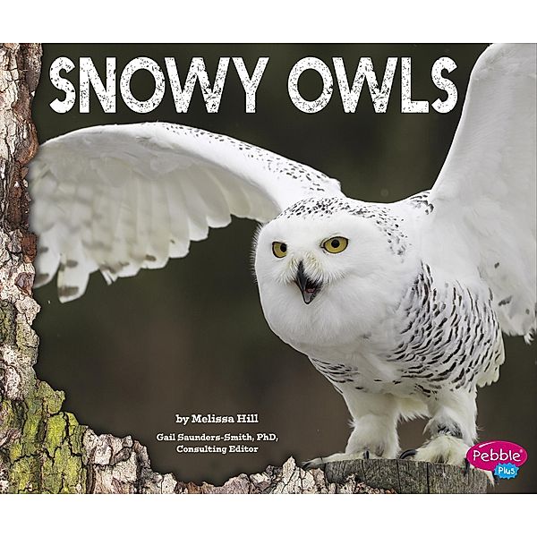 Snowy Owls / Raintree Publishers, Melissa Hill