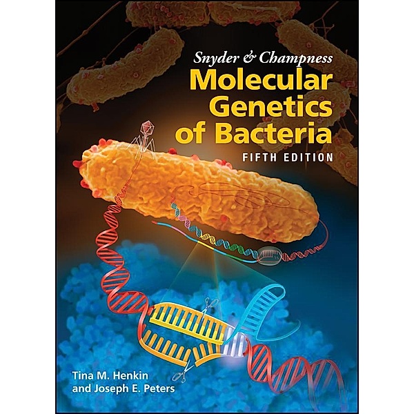 Snyder and Champness Molecular Genetics of Bacteria / ASM, Tina M. Henkin, Joseph E. Peters
