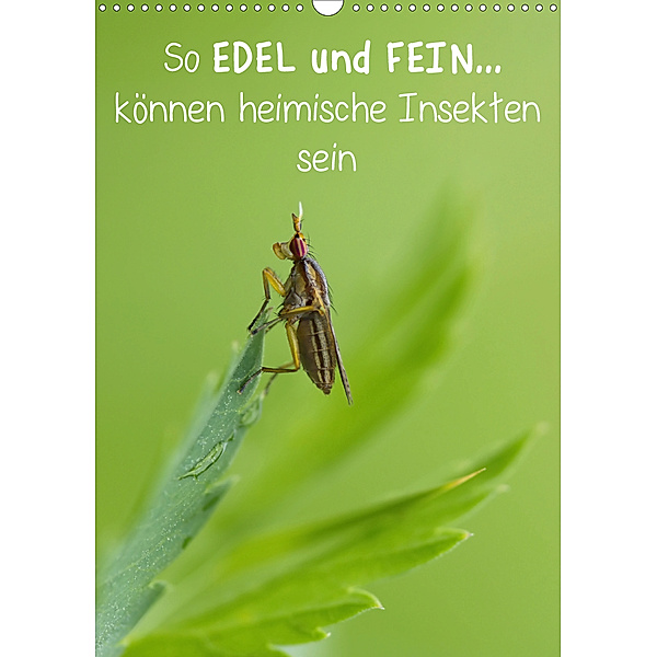 So EDEL und FEIN... können heimische Insekten sein (Wandkalender 2020 DIN A3 hoch), Karin Berger