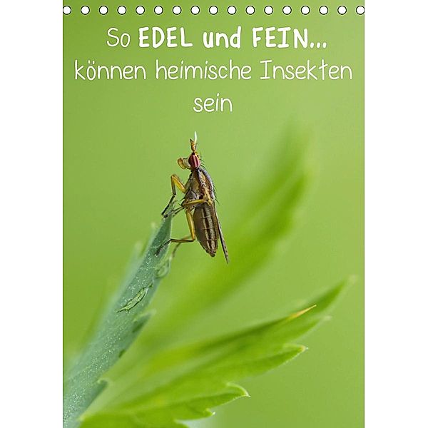 So EDEL und FEIN... können heimische Insekten sein (Tischkalender 2021 DIN A5 hoch), Karin Berger