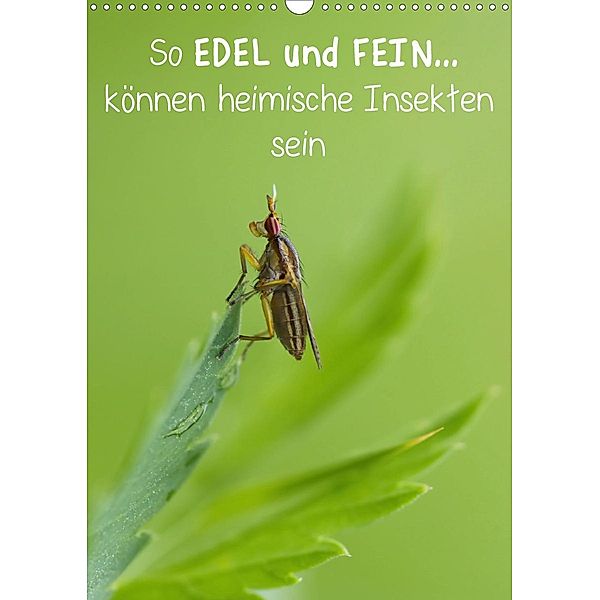 So EDEL und FEIN... können heimische Insekten sein (Wandkalender 2021 DIN A3 hoch), Karin Berger