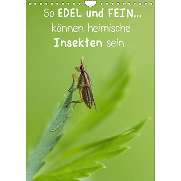 So EDEL und FEIN... können heimische Insekten sein (Wandkalender 2022 DIN A4 hoch), Karin Berger (Kabefa)