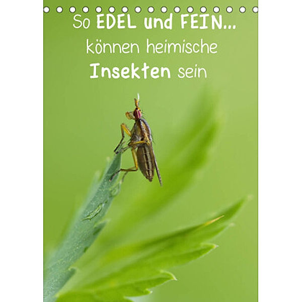 So EDEL und FEIN... können heimische Insekten sein (Tischkalender 2022 DIN A5 hoch), Karin Berger (Kabefa)