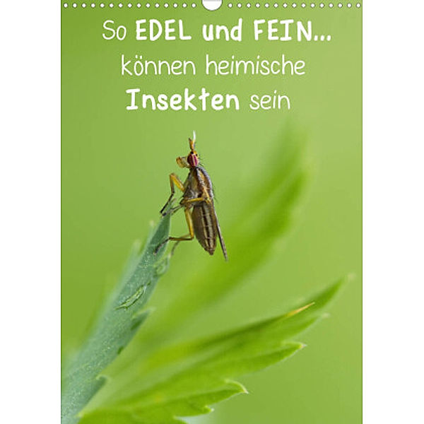 So EDEL und FEIN... können heimische Insekten sein (Wandkalender 2022 DIN A3 hoch), Karin Berger (Kabefa)