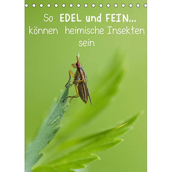 So EDEL und FEIN... können heimische Insekten sein (Tischkalender 2022 DIN A5 hoch), Karin Berger (Kabefa)