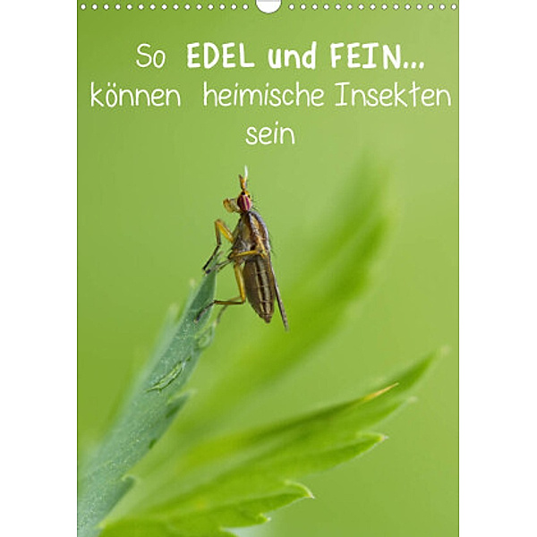 So EDEL und FEIN... können heimische Insekten sein (Wandkalender 2022 DIN A3 hoch), Karin Berger (Kabefa)