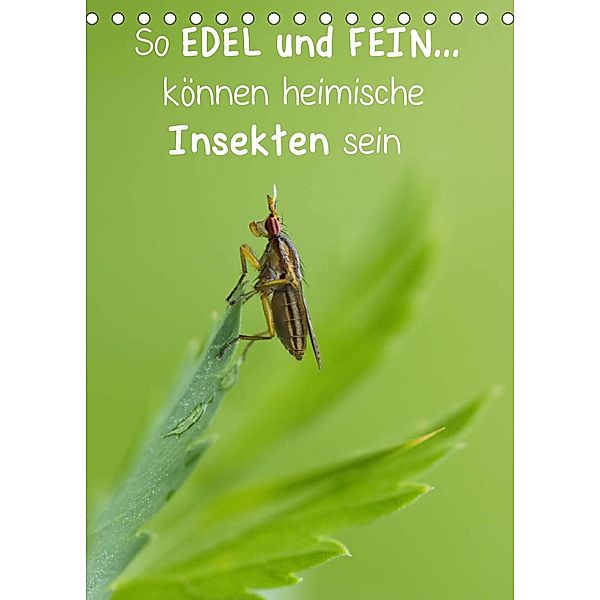 So EDEL und FEIN... können heimische Insekten sein (Tischkalender 2023 DIN A5 hoch), Karin Berger (Kabefa)