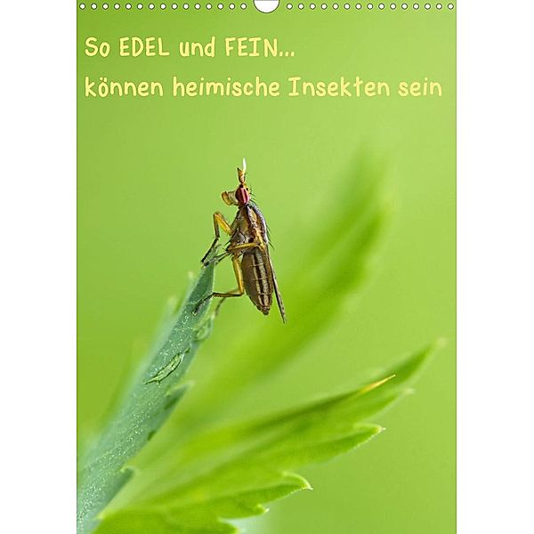 So EDEL und FEIN... können heimische Insekten sein (Wandkalender 2023 DIN A3 hoch), Karin Berger (Kabefa)
