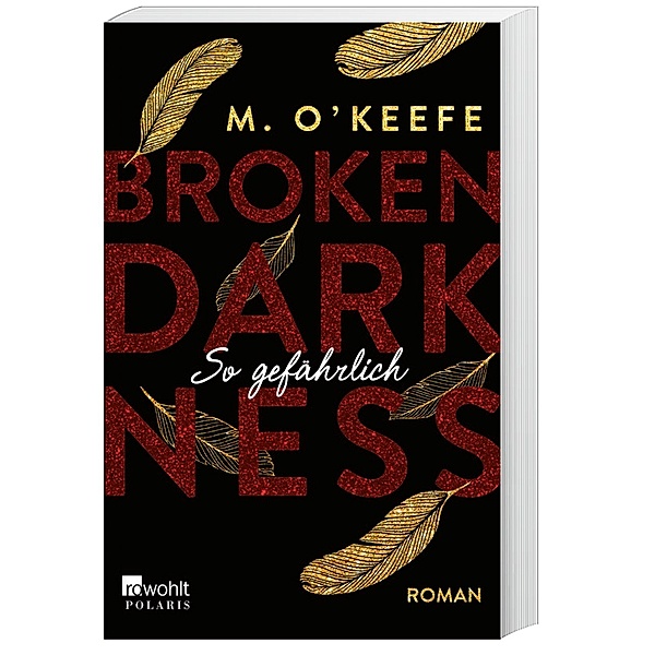 So gefährlich / Broken Darkness Bd.3, M. O'Keefe