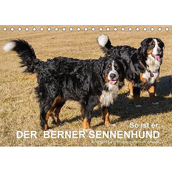 So ist er. Der Berner Sennenhund (Tischkalender 2018 DIN A5 quer), Hubert Hunscheidt