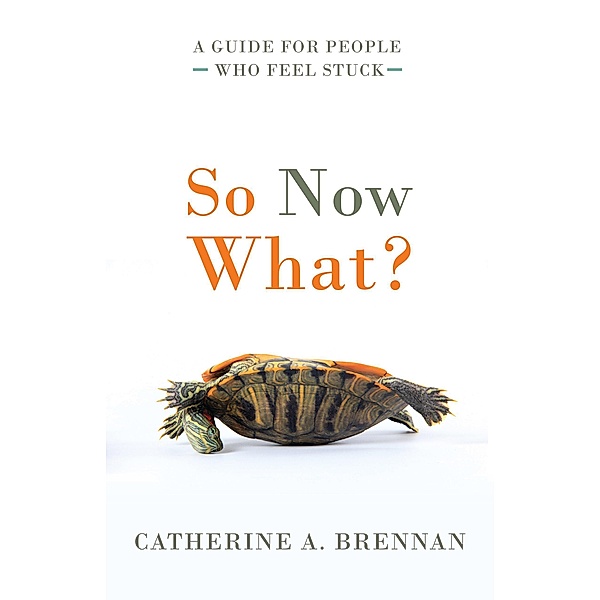 So Now What?: A Guide for People Who Feel Stuck, Catherine A. Brennan