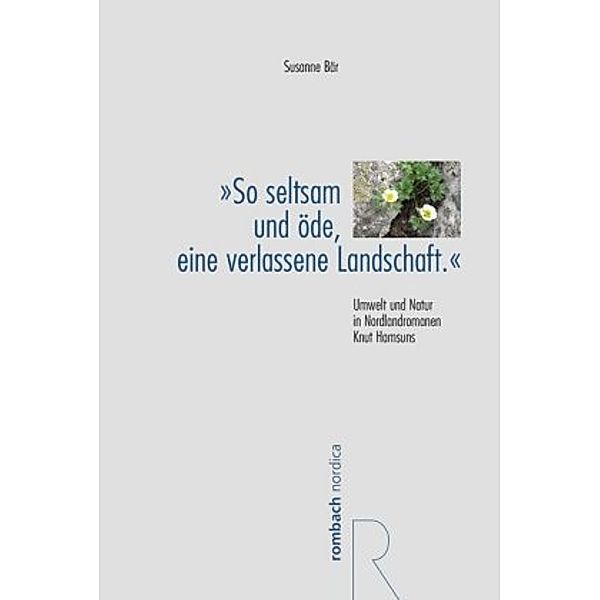 So seltsam und öde, eine verlassene Landschaft., Susanne Bär