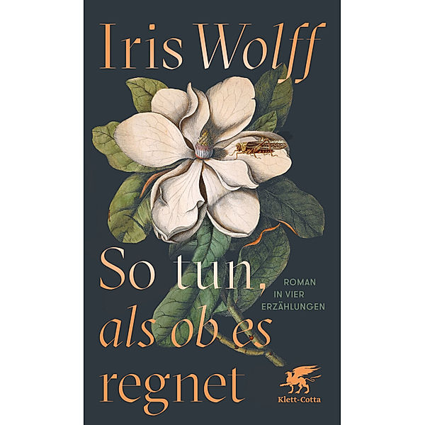 So tun, als ob es regnet, Iris Wolff