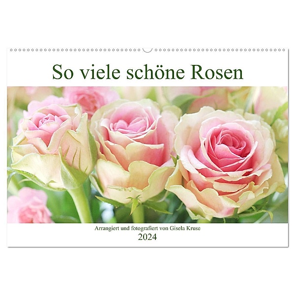 So viele schöne Rosen (Wandkalender 2024 DIN A2 quer), CALVENDO Monatskalender, Gisela Kruse