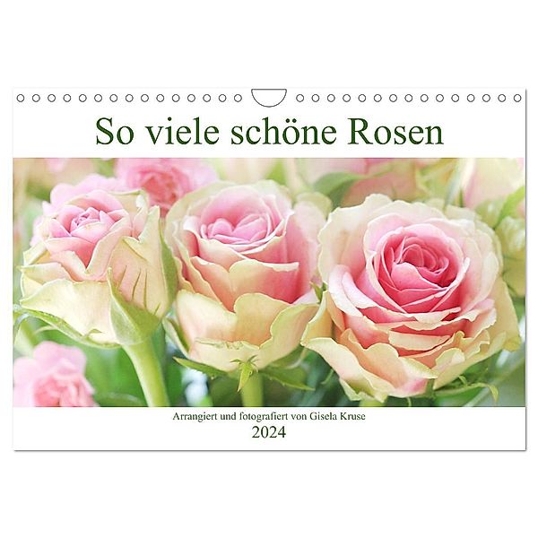 So viele schöne Rosen (Wandkalender 2024 DIN A4 quer), CALVENDO Monatskalender, Gisela Kruse