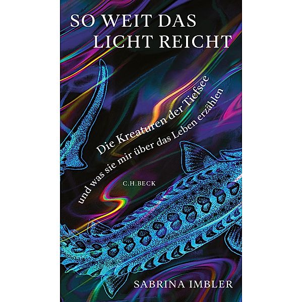 So weit das Licht reicht, Sabrina Imbler