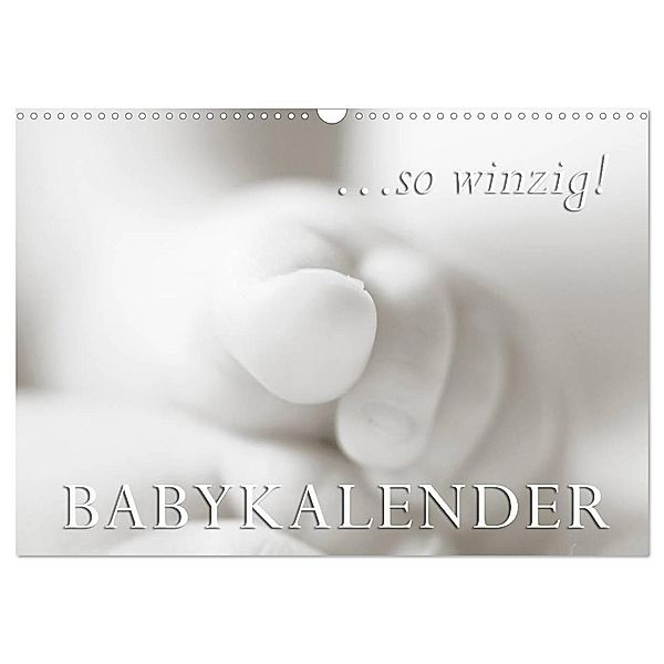 ...so winzig - Babykalender (Wandkalender 2024 DIN A3 quer), CALVENDO Monatskalender, Markus W. Lambrecht