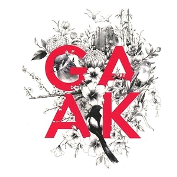 Soar, Gaak Project