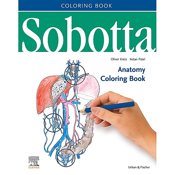 Sobotta Anatomy Coloring Book ENGLISCH/LATEIN / Sobotta, Oliver Kretz, Ketan Patel