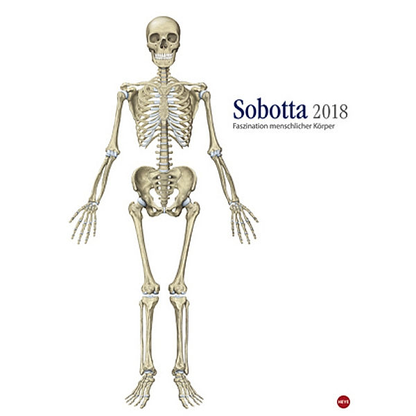 Sobotta Edition 2018