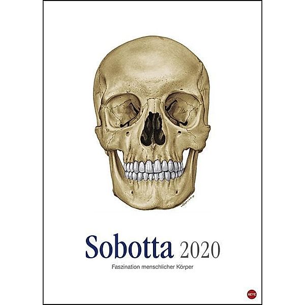 Sobotta Edition 2020