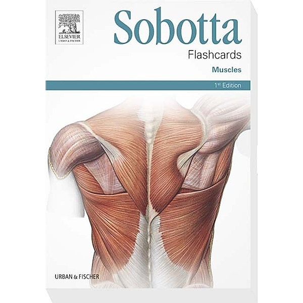 Sobotta Flashcards Muscles, Lars Bräuer