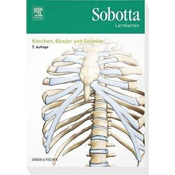 Sobotta Lernkarten: Knochen, Bänder und Gelenke, Lernkarten, Lars Bräuer