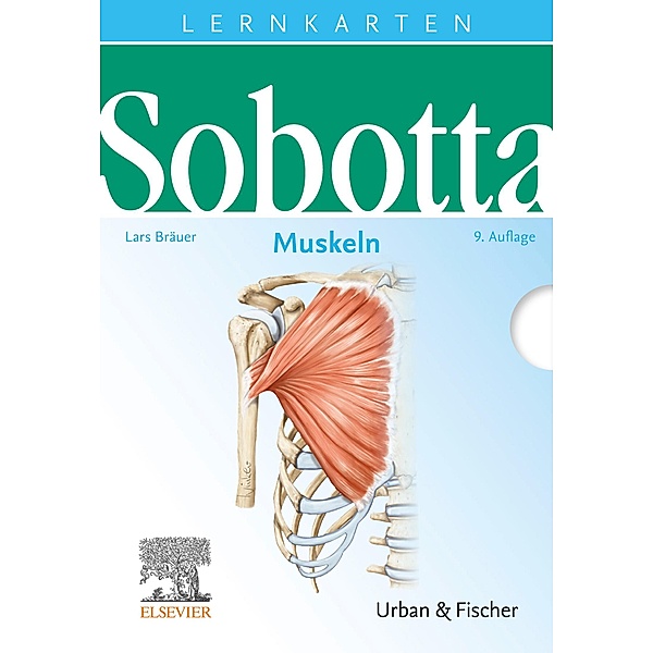 Sobotta Lernkarten Muskeln / Sobotta, Lars Bräuer