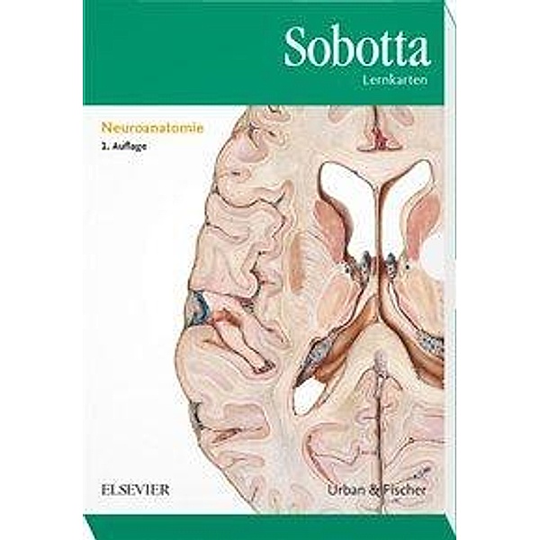 Sobotta Lernkarten: Neuroanatomie, Lernkarten, Lars Bräuer, Michael Scholz