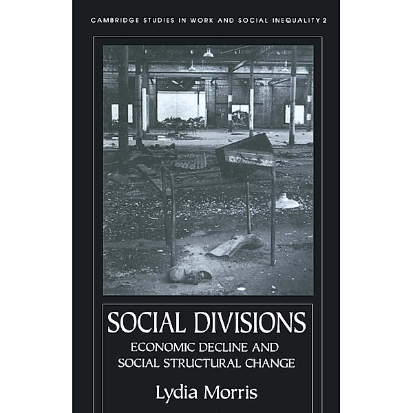 Social Divisions, Lydia Morris