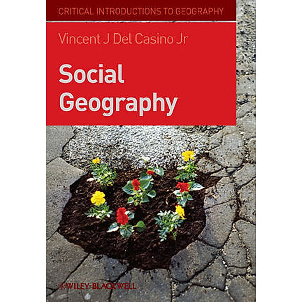 Social Geography, Vincent Del Casino