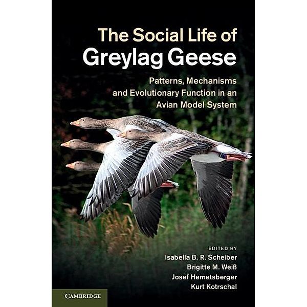 Social Life of Greylag Geese