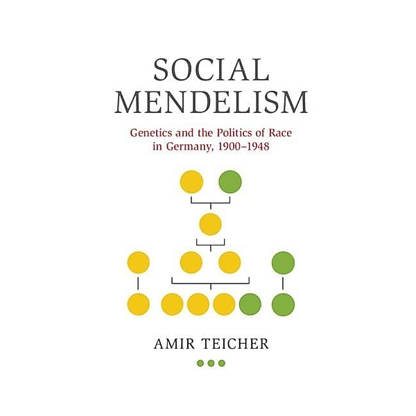 Social Mendelism, Amir Teicher
