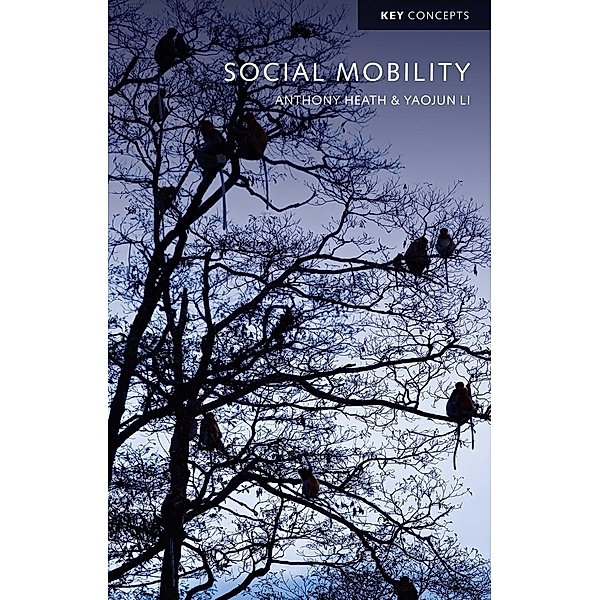 Social Mobility, Anthony Heath, Yaojun Li