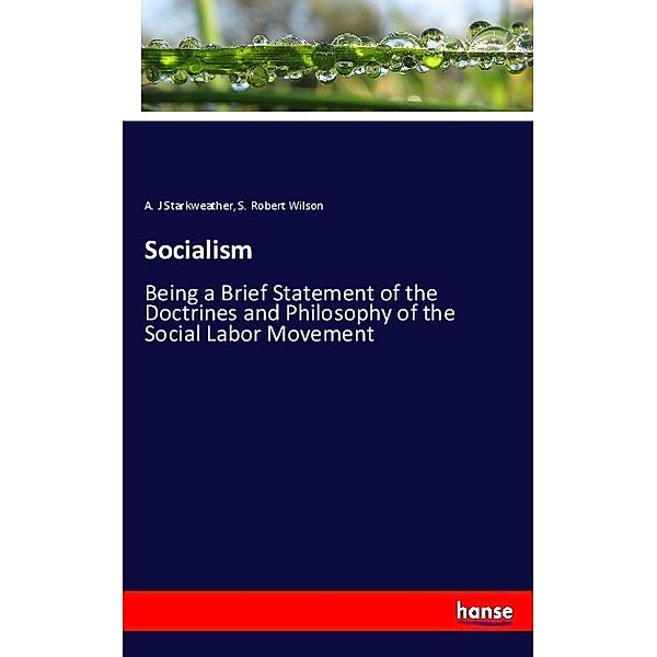 Socialism, A. J Starkweather, S. Robert Wilson